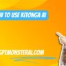How To Use Kitonga Ai