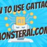 How To Use Gattac Ai