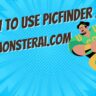How To Use Picfinder AI & Information